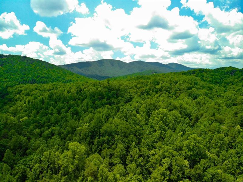 28.98 Acres Off Pole Bridge Rd : Stuart : Patrick County : Virginia