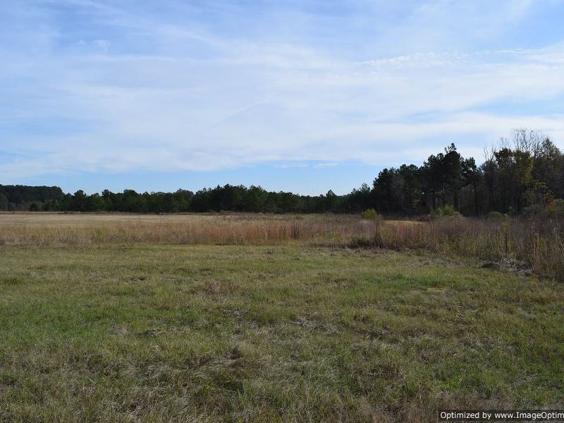 Surveyed Acres with Great Frontage : Jackson : Hinds County : Mississippi