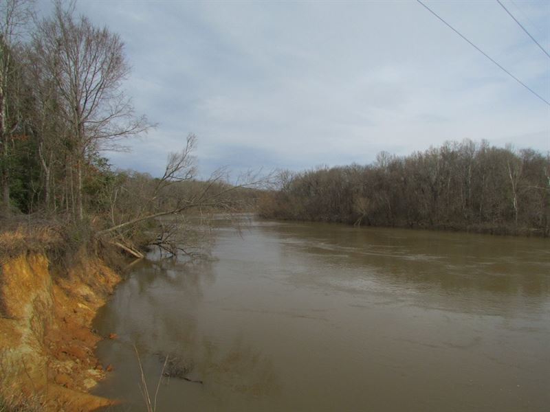 Long Bluff Tract : Society Hill : Darlington County : South Carolina