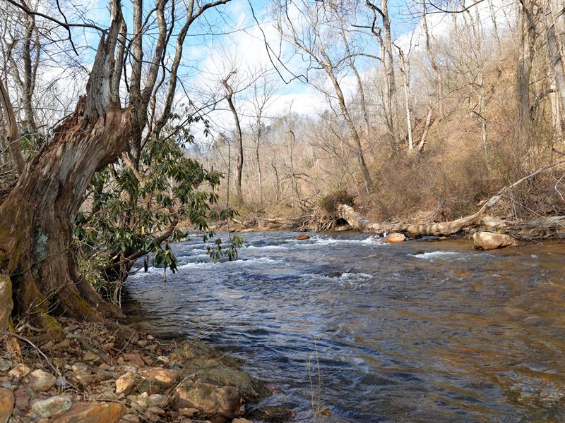 Land on Mitchell River in Dobson Ranch for Sale in Dobson, Surry