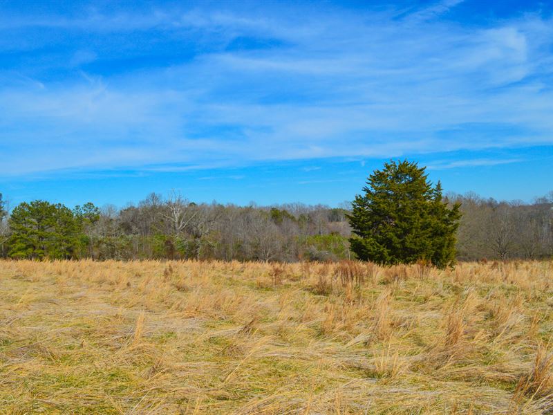 19.2 Acres Near Green Creek Nc : Columbus : Polk County : North Carolina