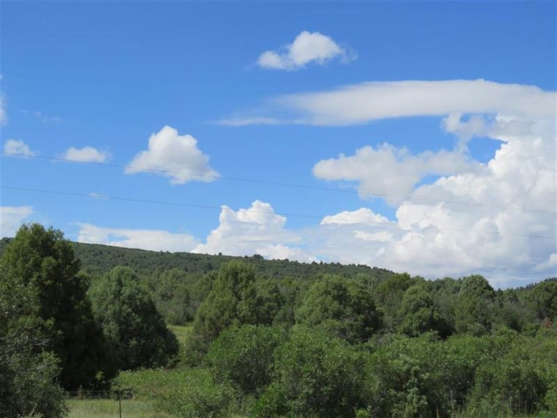 Northern NM Ranch Chama Nm, Vacant : Tierra Amarilla : Rio Arriba County : New Mexico