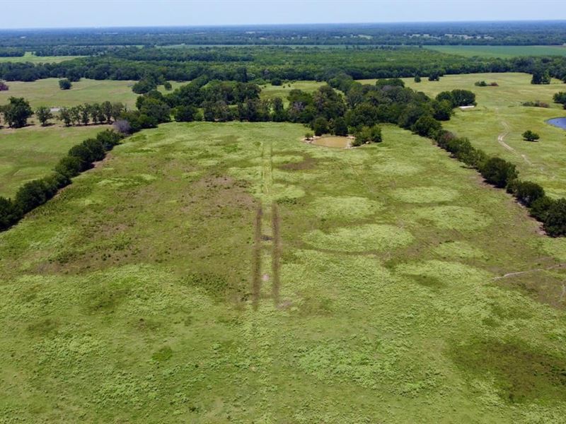 The Lookout : Kensing : Delta County : Texas