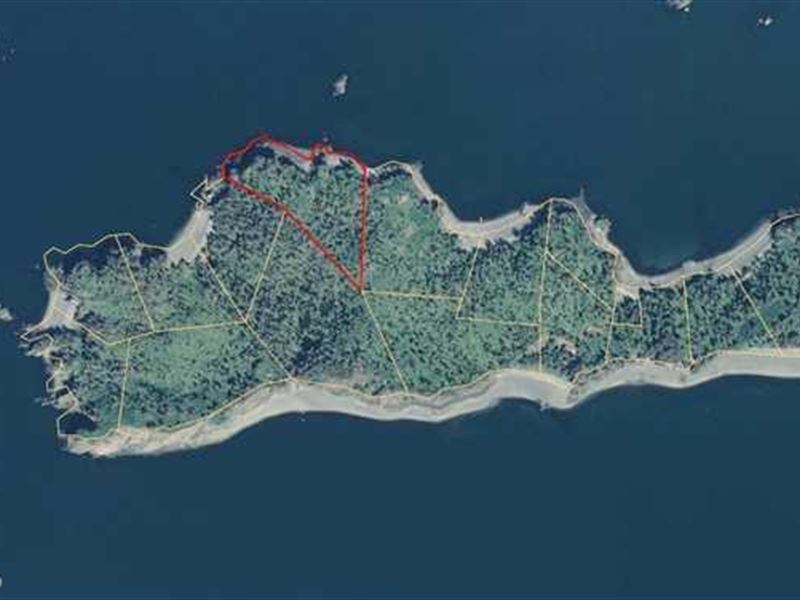 13 Acres, Own a Piece of The Island : Homer : Kenai Peninsula Borough : Alaska