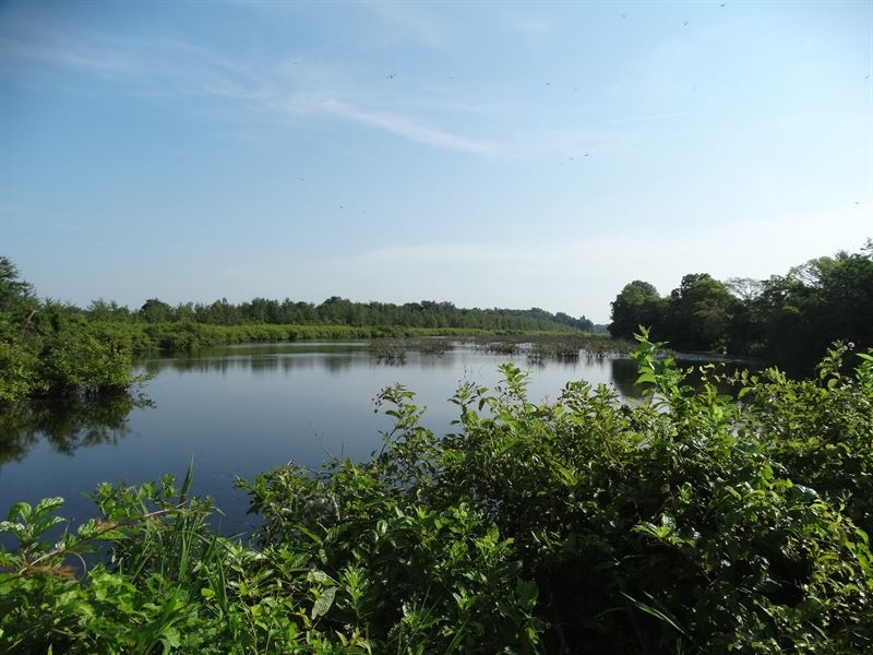 Bayou 840 Acres Hughes Arkansas : Hughes : Crittenden County : Arkansas