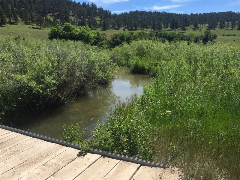 Will Ranch : Sundance : Crook County : Wyoming