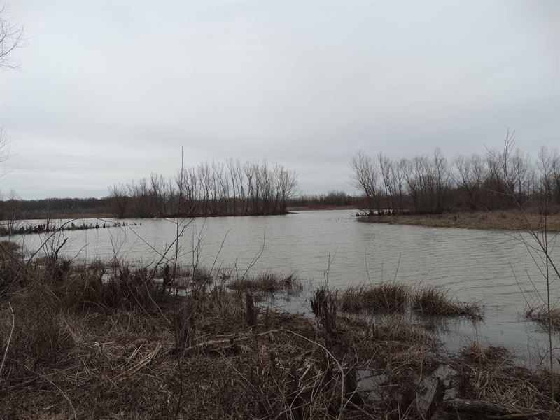 228 Ac Wrp Tract Hughes Arkansas : Hughes : Crittenden County : Arkansas