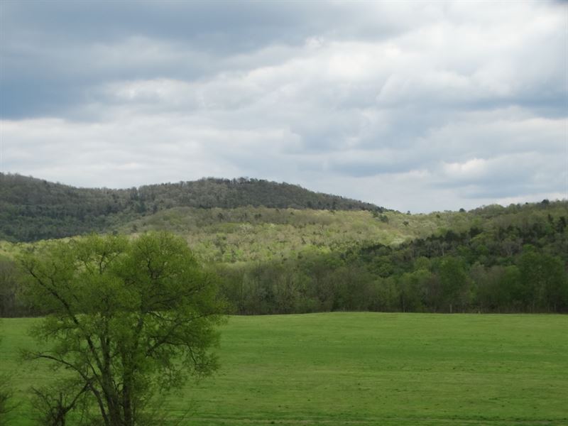 White River Ranch, 231 Acres : Mountain View : Stone County : Arkansas