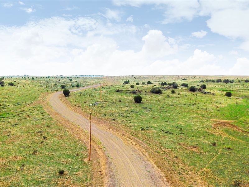 Ranch with Electric & Road Frontage : Walsenburg : Huerfano County : Colorado