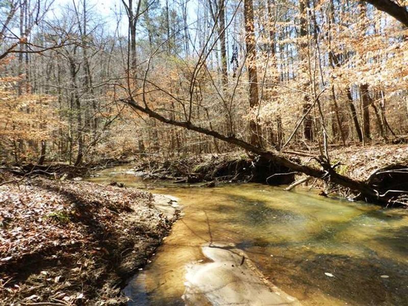 34 Acre Hidden Gem Near Bankhead Fo : Double Springs : Winston County : Alabama