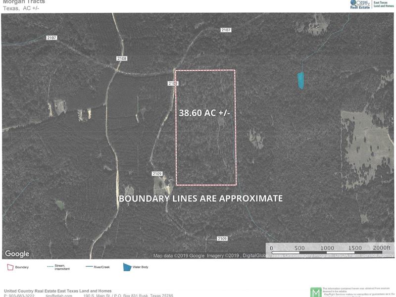 East Texas Timber Tract : Rusk : Cherokee County : Texas