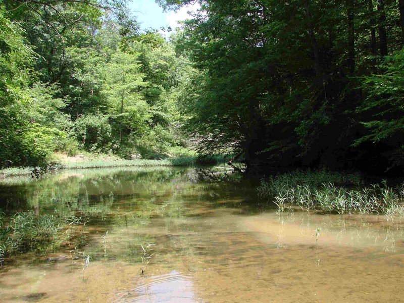 Fantastic Hunting & 4-Wheeling : Calera : Shelby County : Alabama