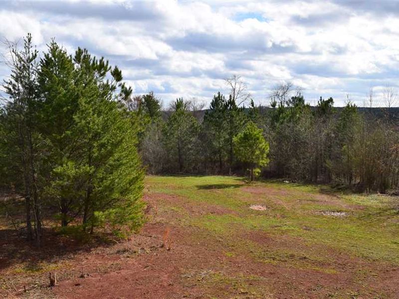 Snow Springs 453 Acres Barto, Ranch for Sale in 189079