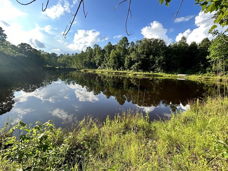 Webster 70 : Maben : Webster County : Mississippi