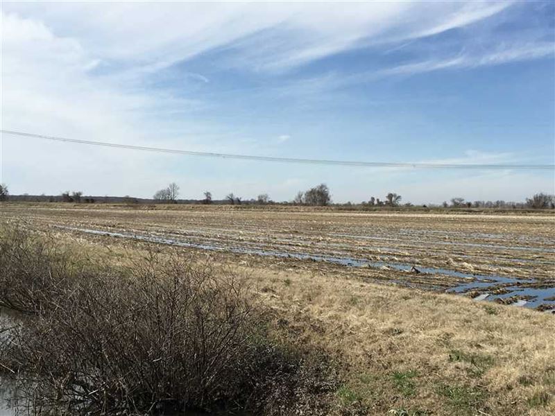95 Acres Row Crop Farm, Leveled : Bay : Craighead County : Arkansas