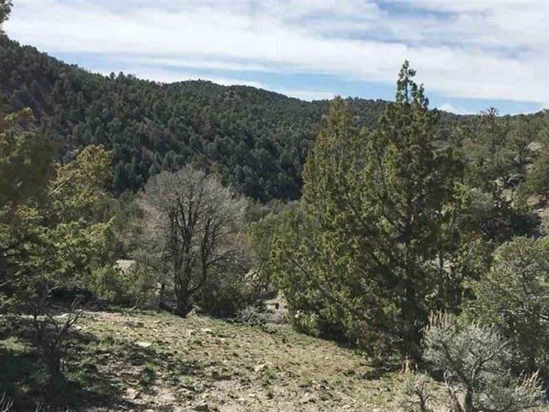 Battle Mountain Land for Sale : Battle Mountain : Lander County : Nevada