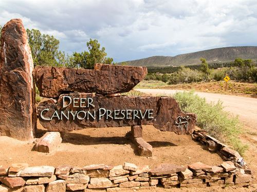11 Acres Nature Preserve : Mountainair : Torrance County : New Mexico