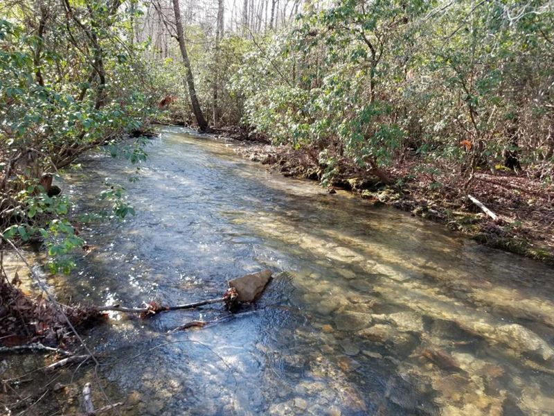 41.02+/-Acre Hunting Land : Palmer : Marion County : Tennessee