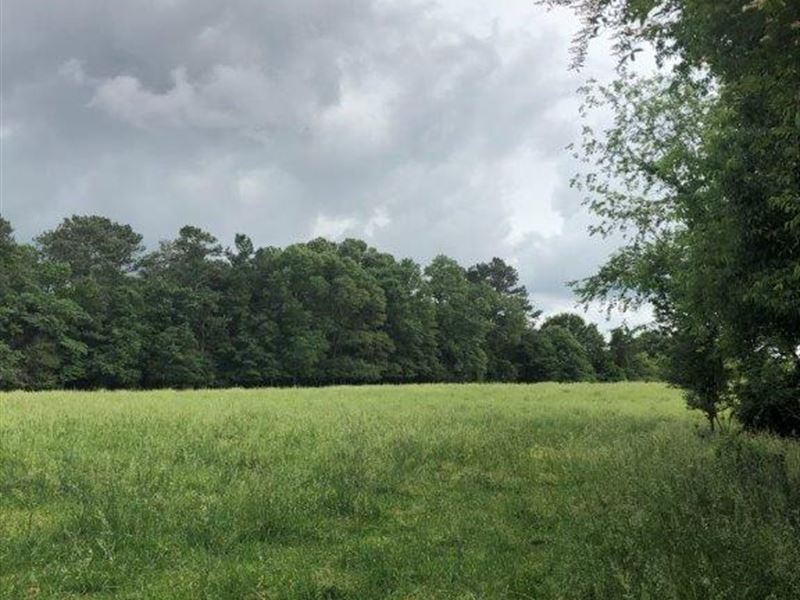 Old Farm Tract : Martin : Franklin County : Georgia