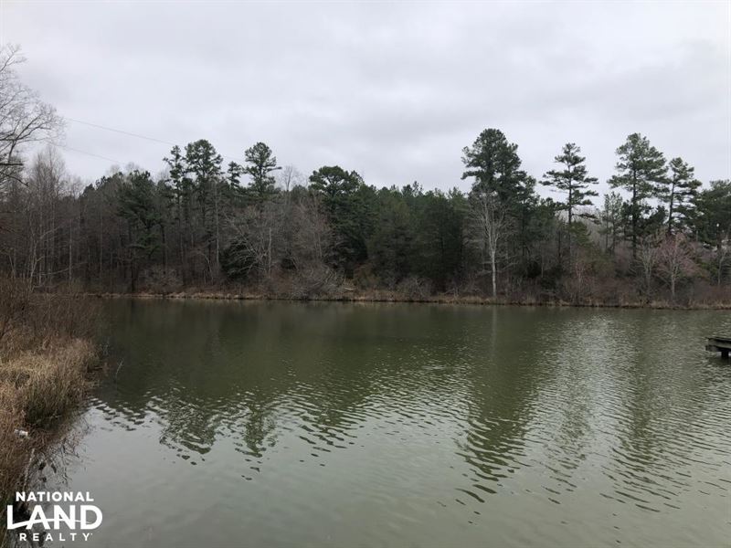 Dumas Lake Tract : Ripley : Tippah County : Mississippi