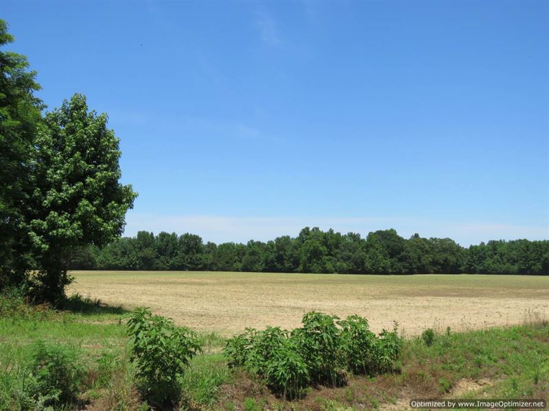Beautiful Recreational Tract : Oxford : Lafayette County : Mississippi