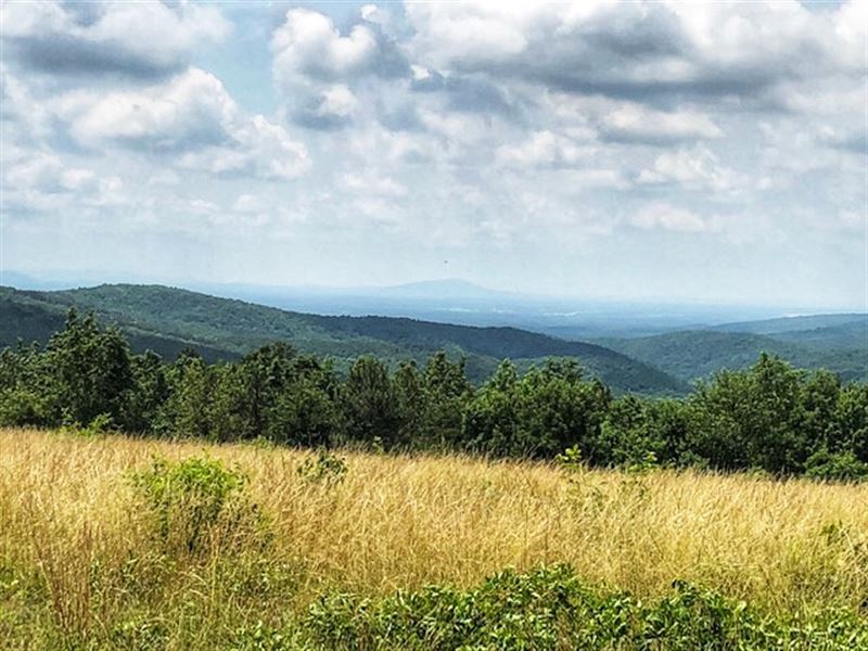 Reduced Twin Mountain : Lyerly : Chattooga County : Georgia