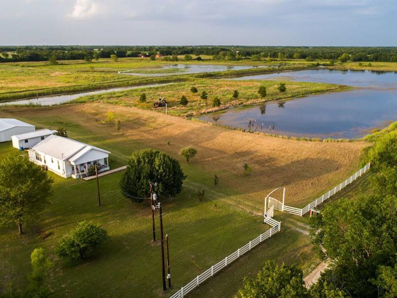 Lazy M Ranch : Ladonia : Hunt County : Texas