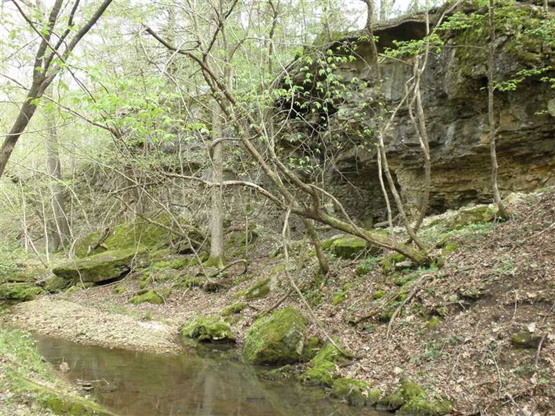 Secluded 60 Acre Wildlife Playgrou : Cole Camp : Benton County : Missouri