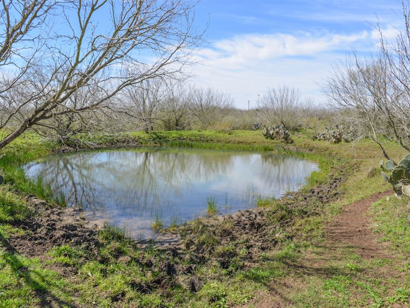 Atascosa Land : Pleasanton : Atascosa County : Texas