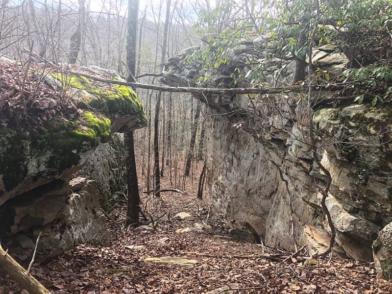 Reduced Soddy Creek Preserve : Sale Creek : Sequatchie County : Tennessee