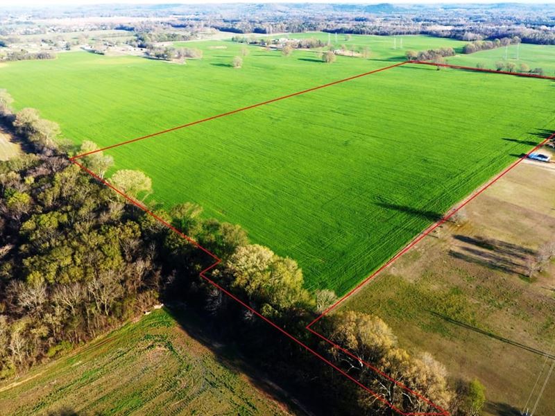 Arrowhead 82 Acre Development : Tuscumbia : Colbert County : Alabama
