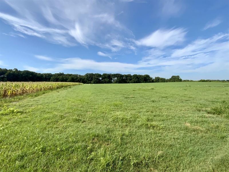 Bayberry 10 Acre Homesite, East Lot : Madison : Madison County : Florida