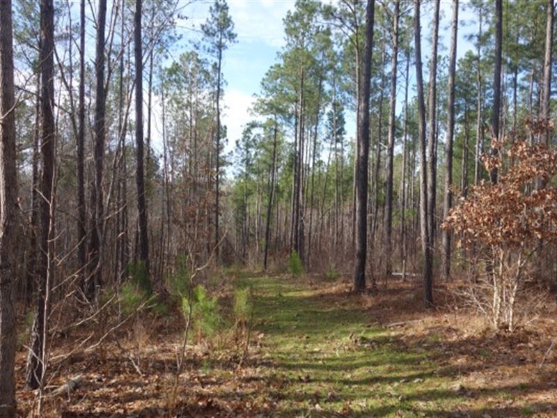 46.82 Acres, Fairfield County : Ridgeway : Fairfield County : South Carolina