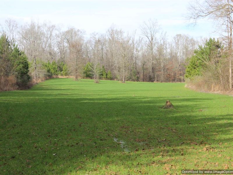 Recreational Tract : Carthage : Leake County : Mississippi