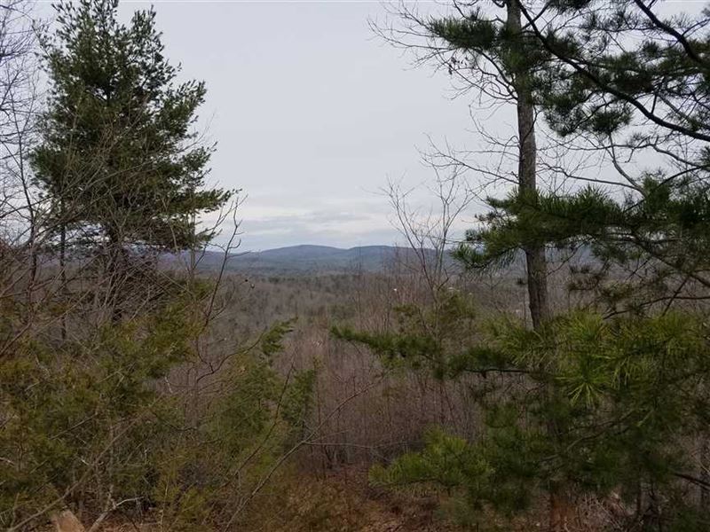23.71 Acres in Connelly Springs : Connelly Springs : Burke County : North Carolina