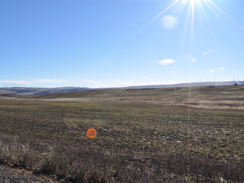 Land Goldendale Washington, Hood : Goldendale : Klickitat County : Washington