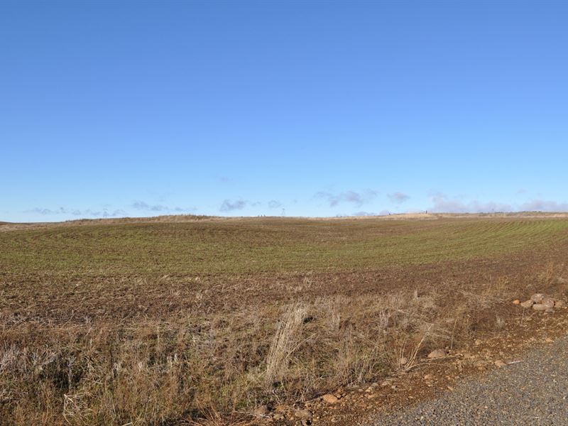 Land Goldendale Washington : Goldendale : Klickitat County : Washington