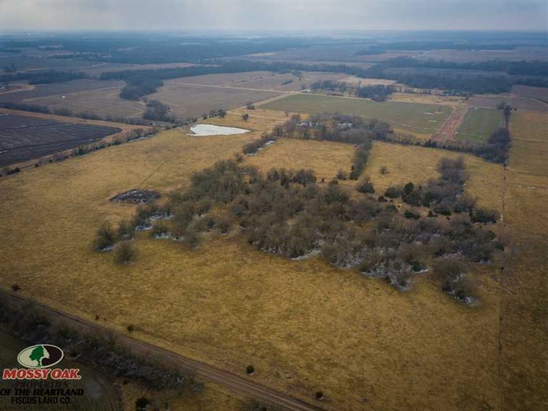 65 Acres of Tillable and Pasture : McCune : Crawford County : Kansas