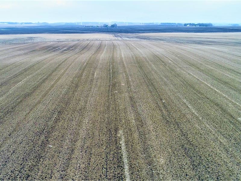 80 Acres in Murray Co, MN : Chandler : Murray County : Minnesota