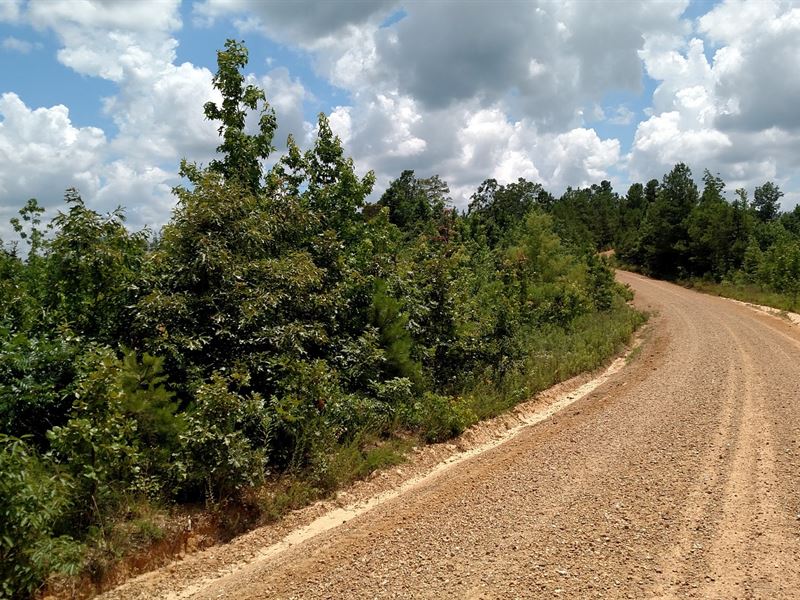 Land, Knight Rd, Bellefontaine, MS : Bellefontaine : Webster County : Mississippi
