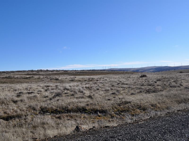 Land Goldendale Washington, White : Goldendale : Klickitat County : Washington
