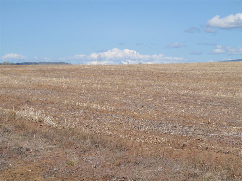 Land Goldendale Washington : Goldendale : Klickitat County : Washington