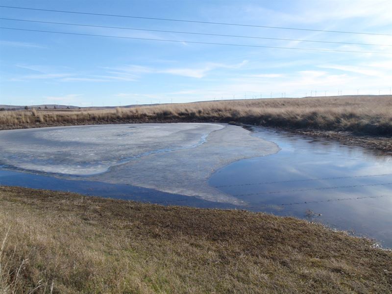 Land Goldendale Washington, White : Goldendale : Klickitat County : Washington