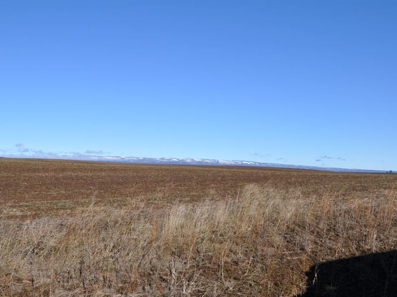 Land Goldendale Washington : Goldendale : Klickitat County : Washington