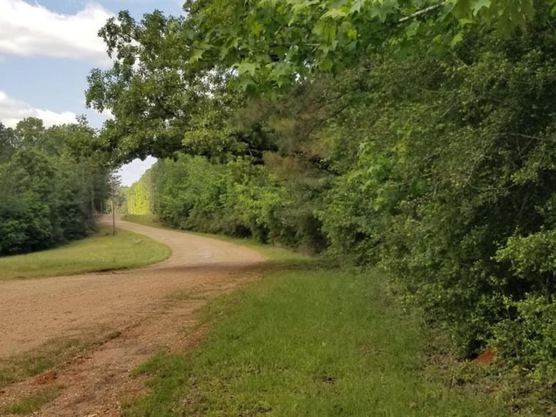 Hurricane Grove Road South Homestea : Winnfield : Acadia Parish : Louisiana