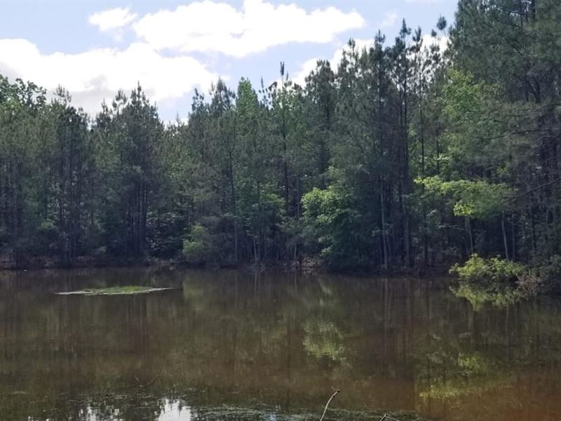 Hurricane Grove Road North Homestea : Sikes : Winn Parish : Louisiana