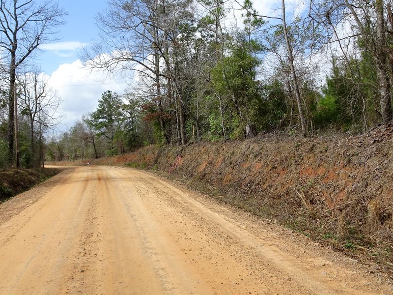 Poplar Springs Church Road Tract : Toomsboro : Wilkinson County : Georgia