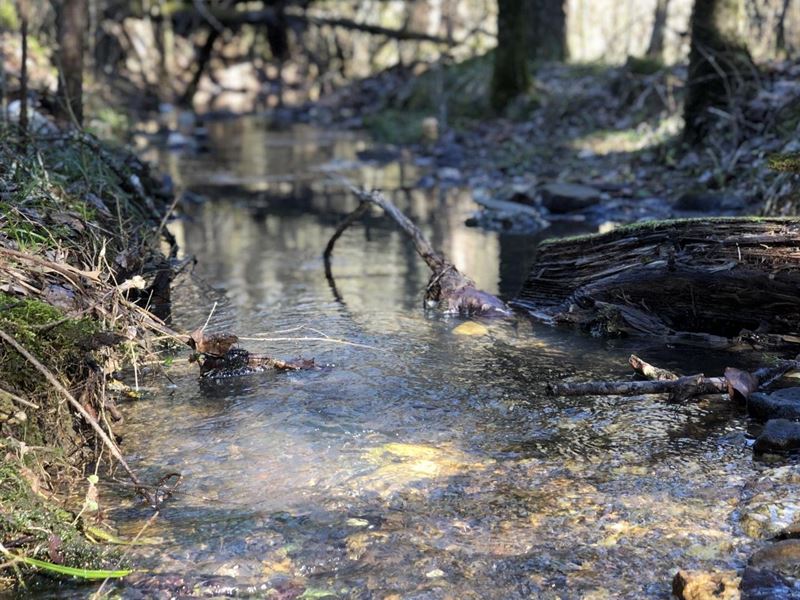 Ouachita 40 : Jessieville : Garland County : Arkansas