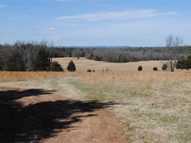255 Acre Cattle Farm/Hunting Prope : Concord : Cleburne County : Arkansas