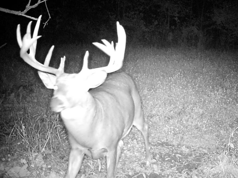 Hunting Land in Big Buck Country : Gays Mills : Crawford County : Wisconsin